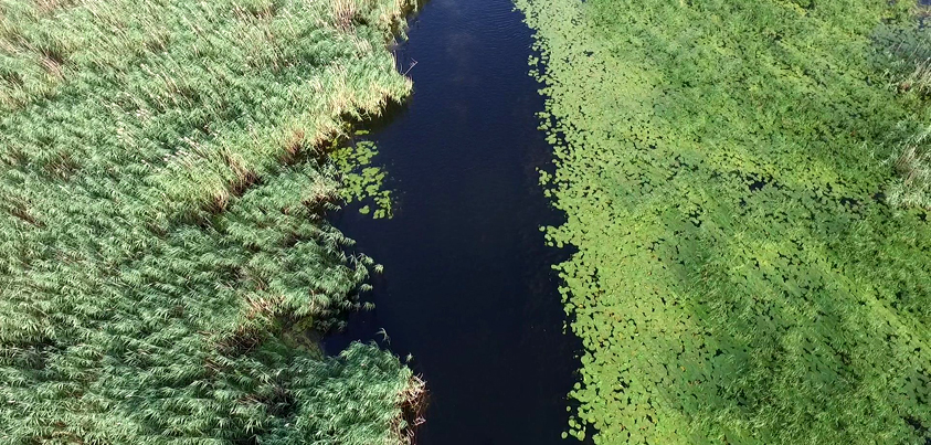 Fotografie drona Delta Dunarii